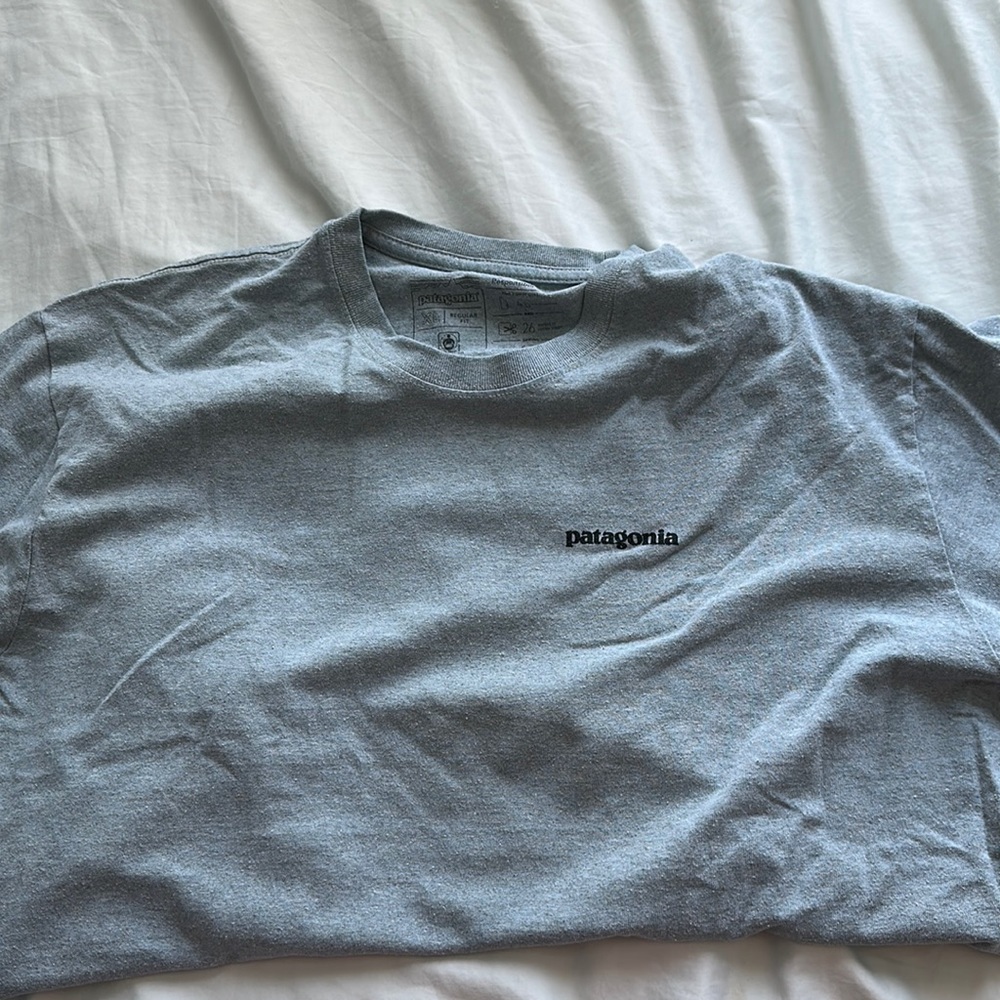 Patagonia Responsibili-Tee